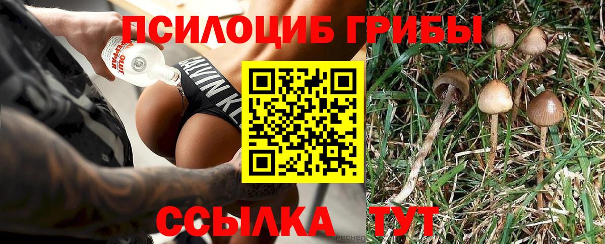 Вязники  Псилоцибиновые грибы Cubensis  Вход с VPN 