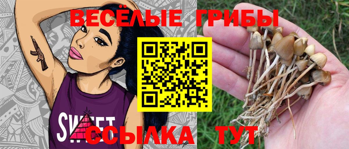 Псилоцибиновые грибы мухоморы Вязники